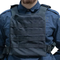 Plate carrier UkrCossacks 1.0